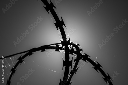 barbed wire fence