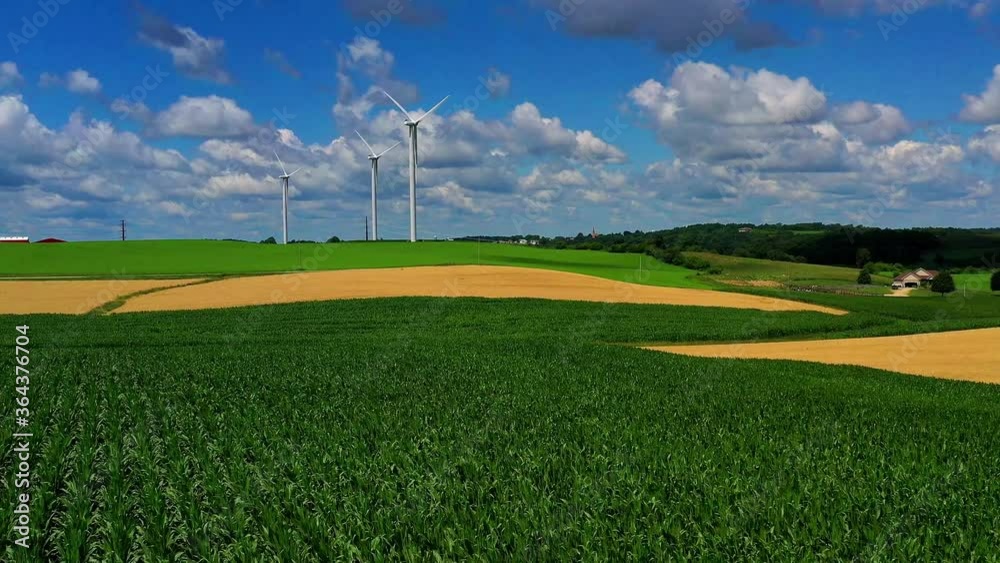 Iowa in Summer