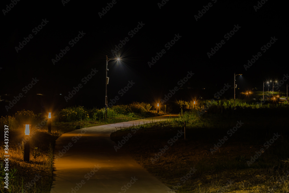 Night view of concrete walkway