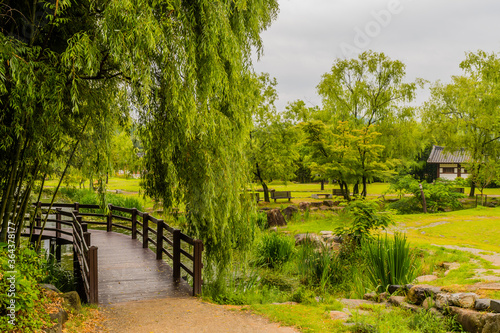 Landscape of peaceful public park.