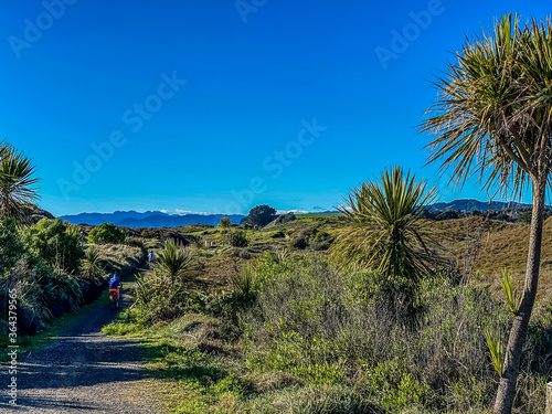 Motu Trail Cycle Way on the eastern Bay of Plenty/Eastland region of New Zealand, Opotiki.