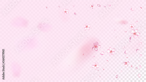 Nice Sakura Blossom Isolated Vector. Tender Showering 3d Petals Wedding Design. Japanese Beauty Spa Flowers Wallpaper. Valentine, Mother's Day Beautiful Nice Sakura Blossom Isolated on Rose