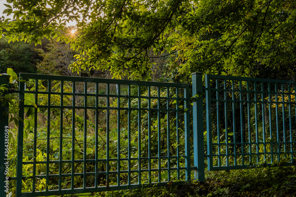 Green metal fence in countryside Green metal fence in countryside