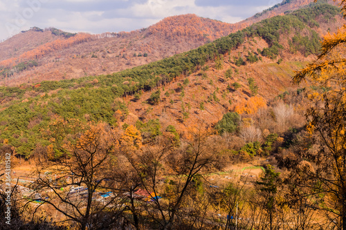 Valley with trees in beautiful fall colors