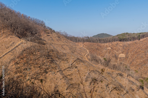 Logging and deforestation of mountainside.