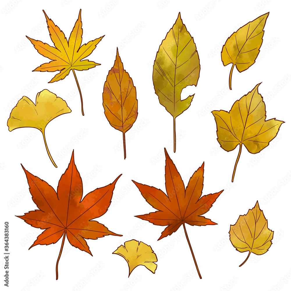 秋の紅葉の葉っぱのイラスト素材（薄め）