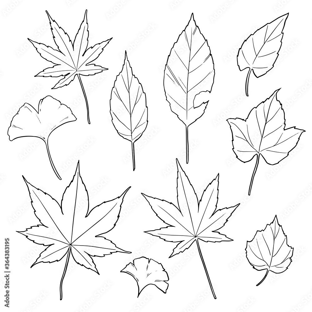 秋の紅葉の葉っぱのイラスト素材（線画）
