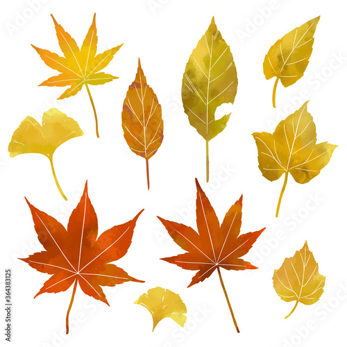 秋の紅葉の葉っぱのイラスト素材（薄め線なし）