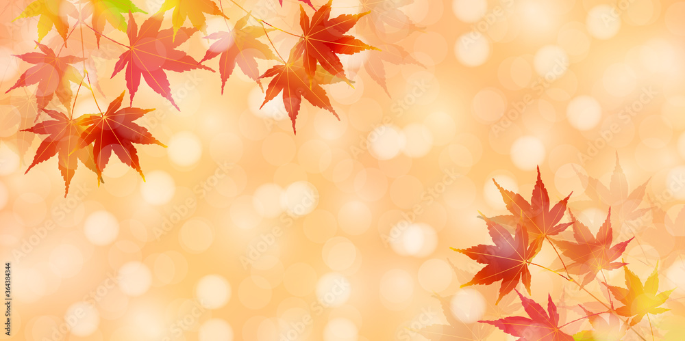 紅葉 もみじ 秋 背景
紅葉 もみじ 秋 背景