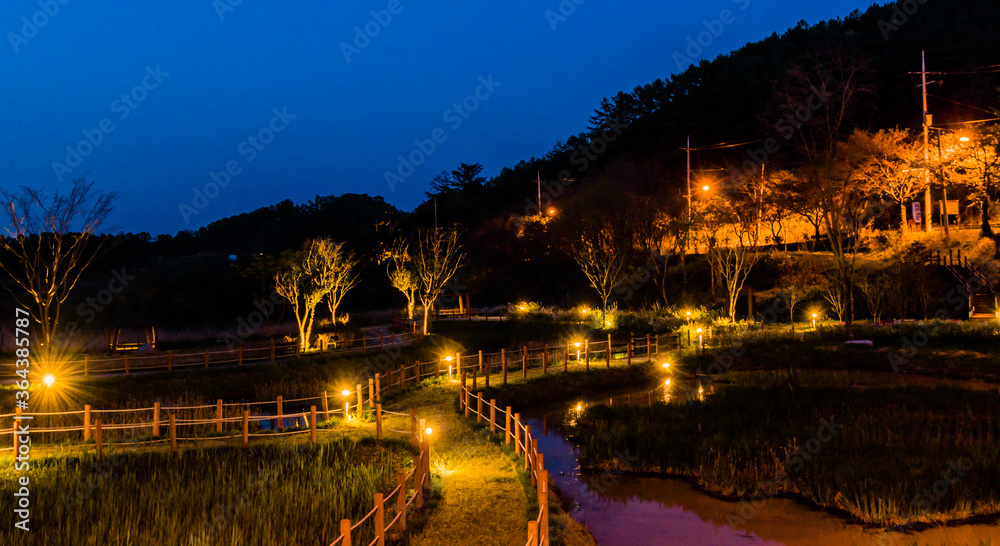 Night landscape of country park