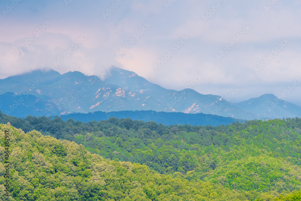Landscape of forested mountain region with clouds over mountains Landscape of forested mountain region with clouds over mountains