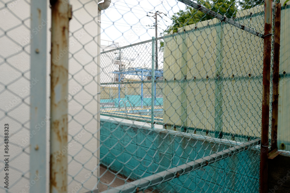 学校のプール 学校のプール