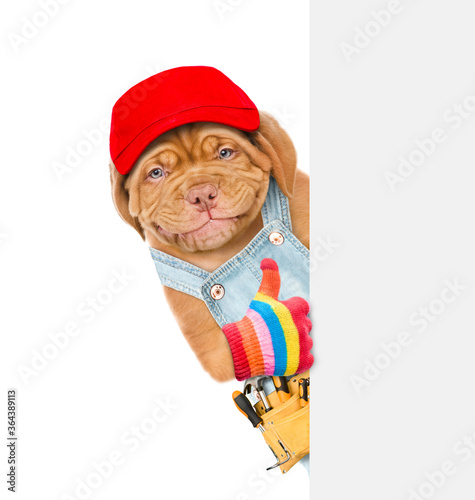 Smiling puppy wearing overalls, red cap and tool belt shows thumbs up gesture behinde empty white banner. isolated on white background photo