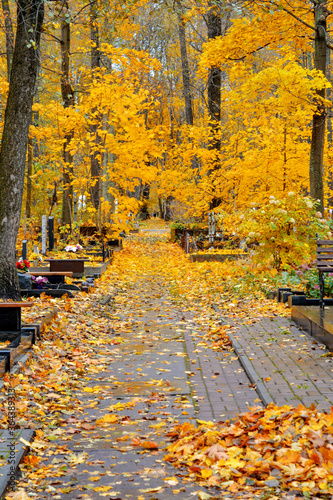 Autumn alley withfallen leaves of ancient Christian cemetery landscape view photo