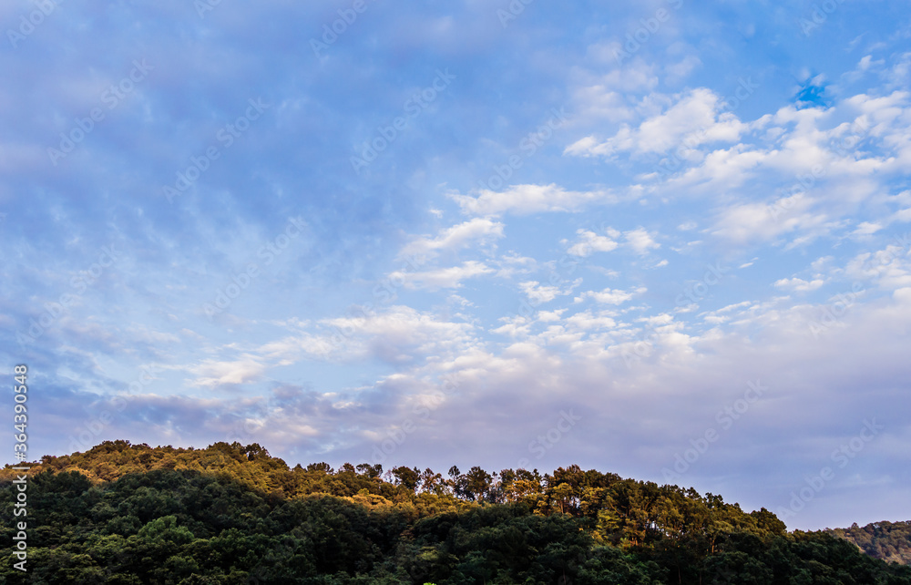 Tree covered mountain under blue sky Tree covered mountain under blue sky