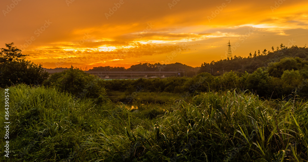 Golden sunset over a rural area