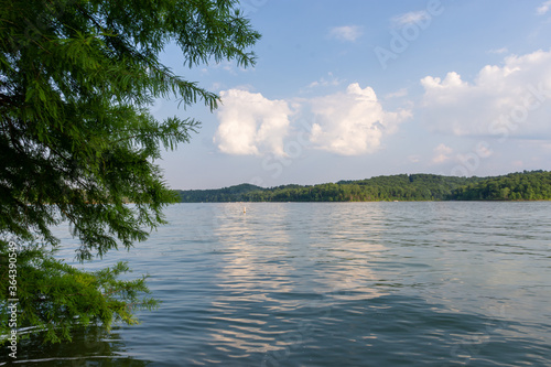 summer landscape from Moutardier Campground at Nolin River Lake in Kentucky