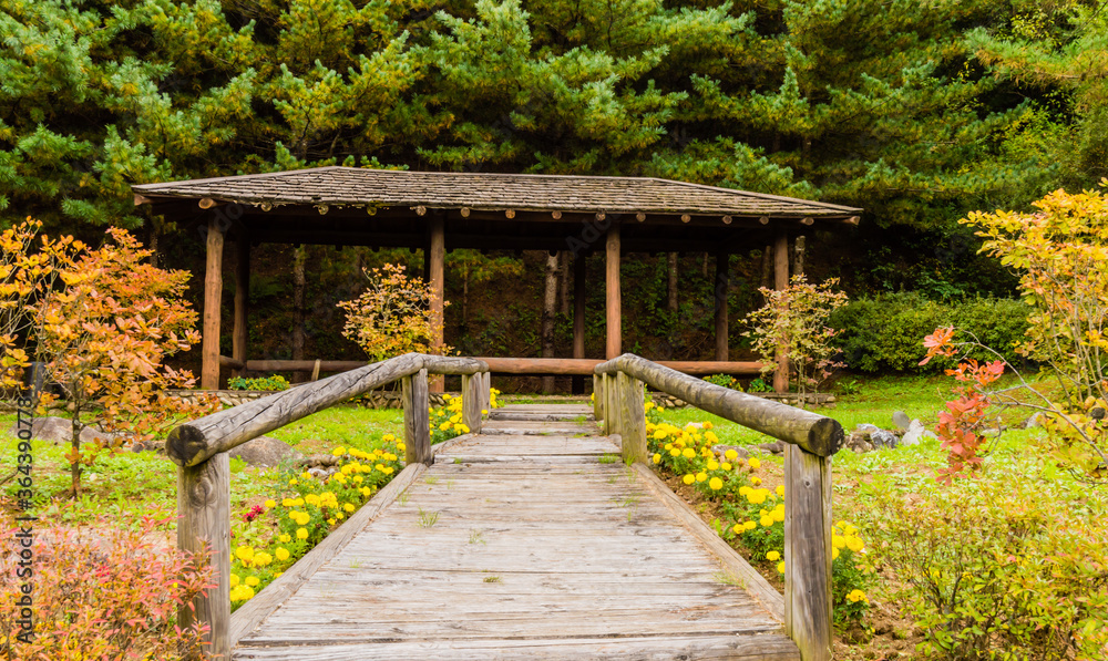 Countryside park with beautiful foliage Countryside park with beautiful foliage