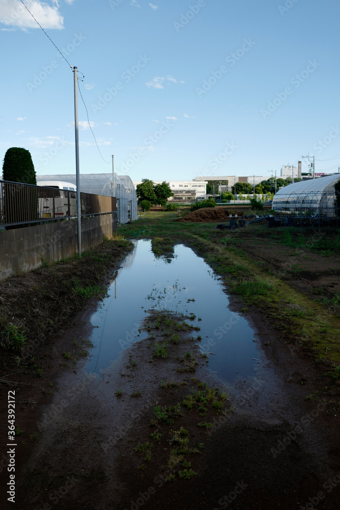 Fototapeta premium 水溜りに映る青空