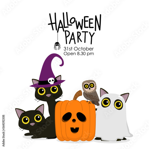 Happy Halloween party invitation card with cute black cat and spooky pumpkin wear witch hat. Animal holidays cartoon character. -Vector. © Dusida