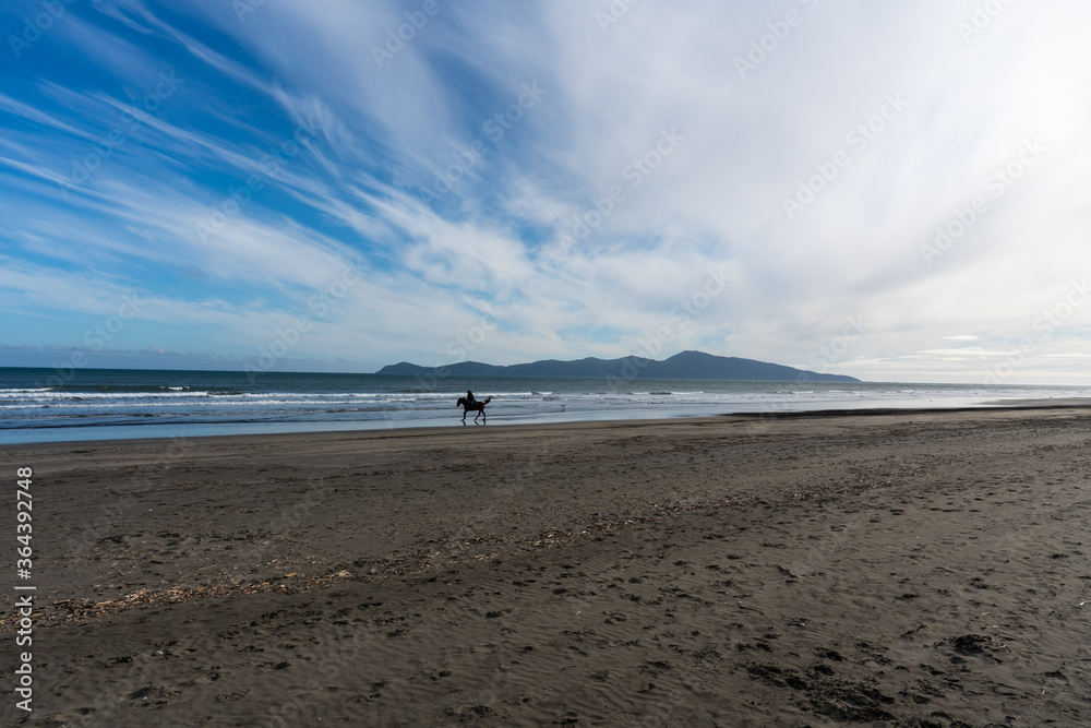 A horse being ridden along the beach with a view of Kapiti Island in New Zealand 