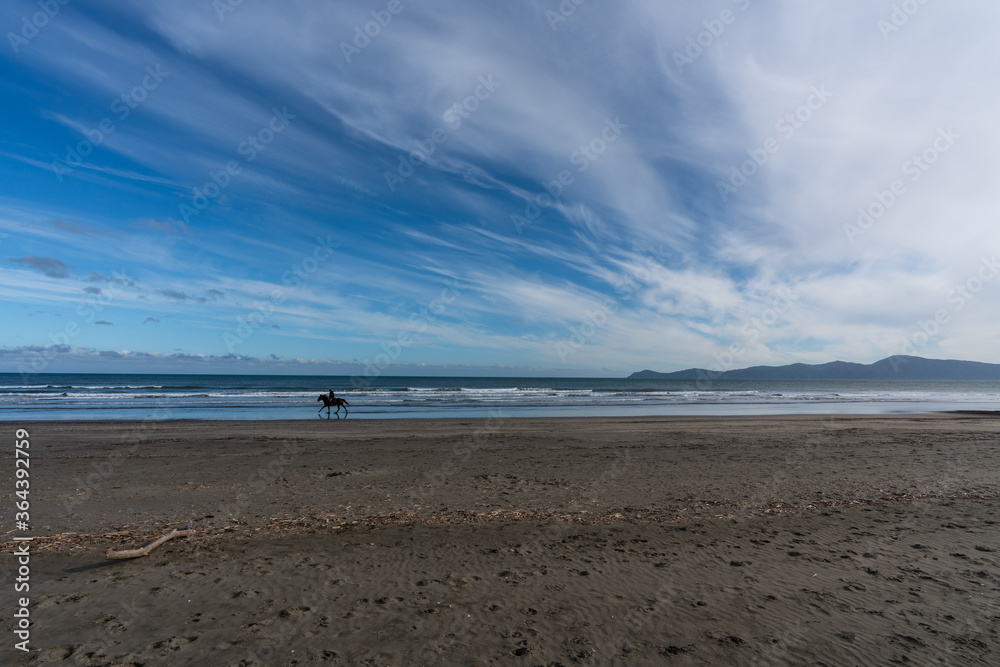 A horse being ridden along the beach with a view of Kapiti Island in New Zealand 