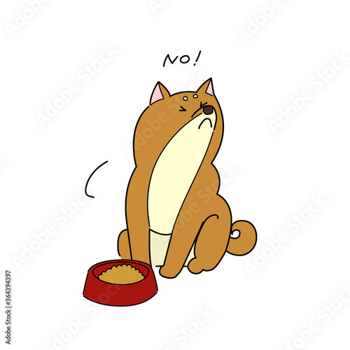 ごはんを拒否する柴犬