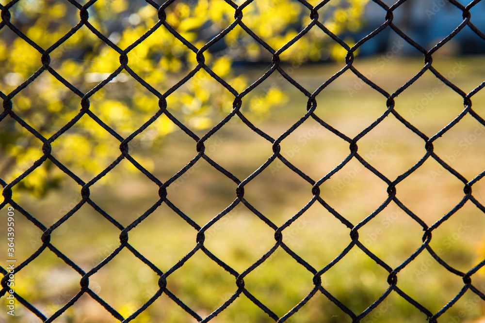 Fototapeta premium Iron mesh fence on a background of nature