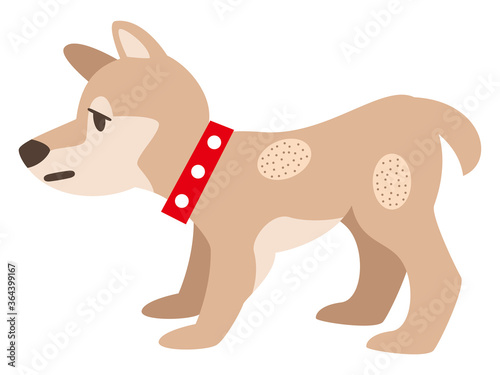 皮膚に湿疹が出来た犬のイラストレーション