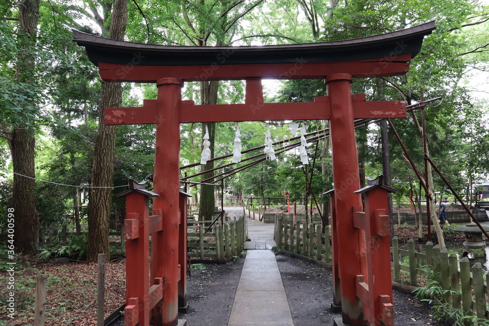 鳥居　神社　