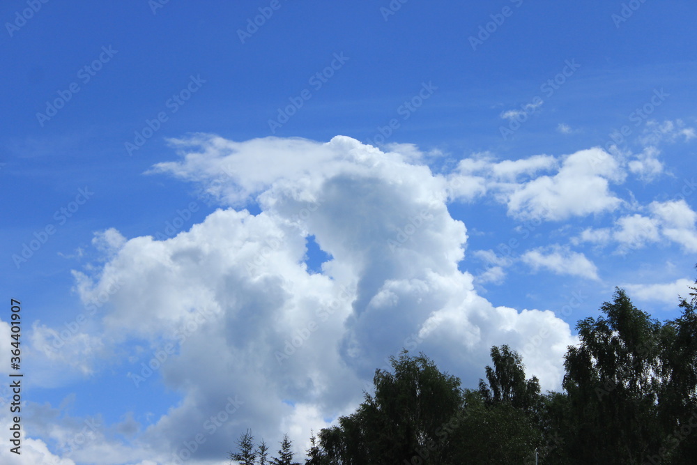 White clouds over the forest. Russia. White clouds over the forest. Russia.