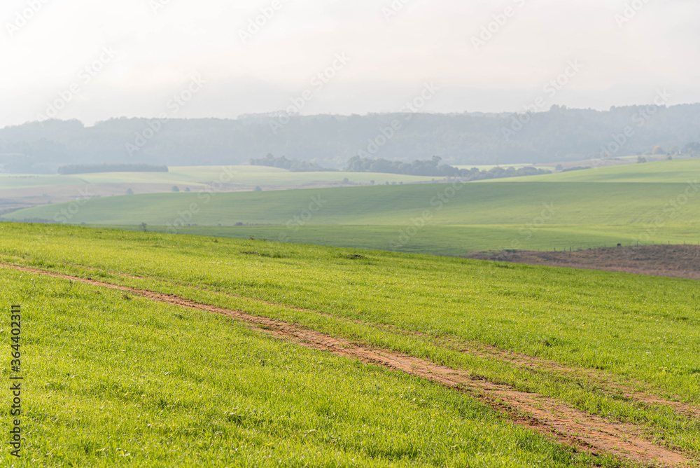 Agricultural production fields at winter dawn in southern Brazil