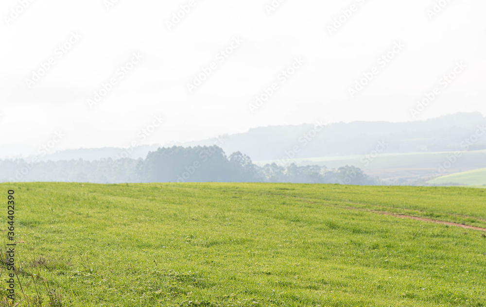 Fototapeta premium Agricultural production fields at winter dawn in southern Brazil