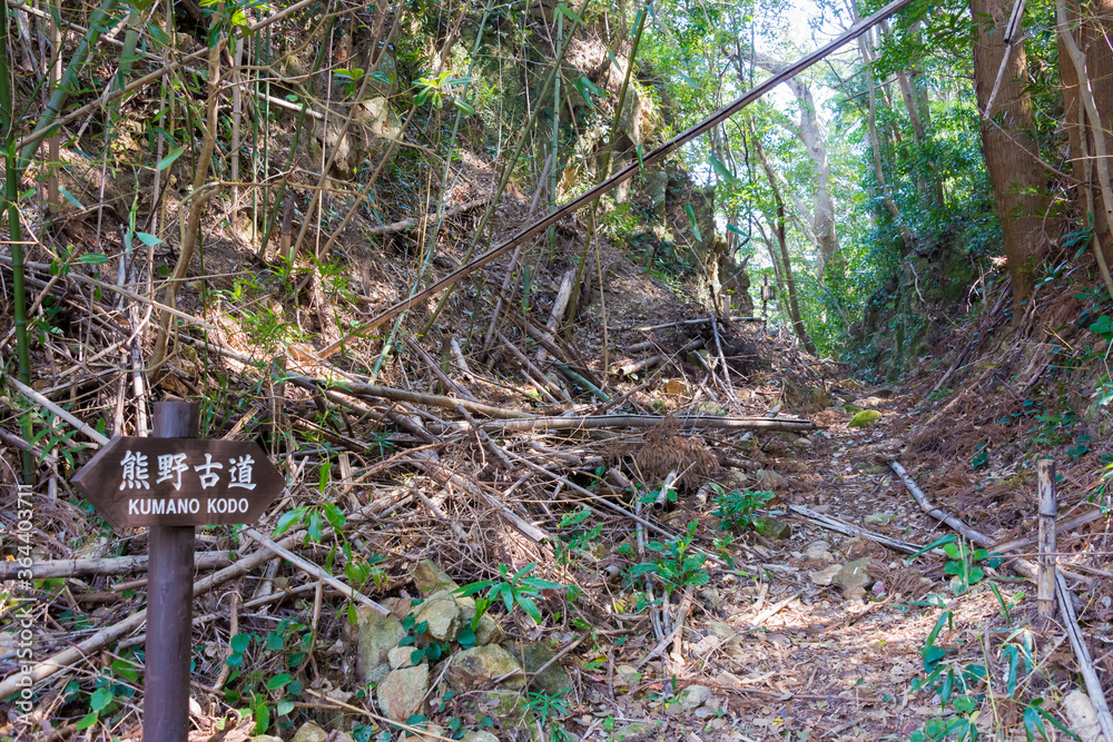 Okuji-Toge Pass on Kumano Kodo (Nakahechi Route) in Nachikatsuura, Wakayama, Japan. It is part of the UNESCO World Heritage Site. Okuji-Toge Pass on Kumano Kodo (Nakahechi Route) in Nachikatsuura, Wakayama, Japan. It is part of the UNESCO World Heritage Site.