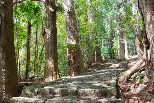 Daimonzaka slope on Kumano Kodo (Nakahechi Route) in Nachikatsuura, Wakayama, Japan. It is part of the UNESCO World Heritage Site. photo