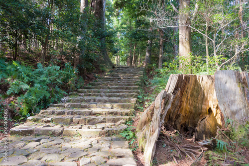 Daimonzaka slope on Kumano Kodo (Nakahechi Route) in Nachikatsuura, Wakayama, Japan. It is part of the UNESCO World Heritage Site. photo