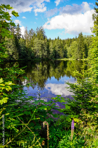 Karchesweiher See im Fichtelgebirge photo