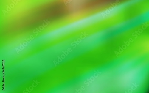 Light Green vector background with straight lines. Blurred decorative design in simple style with lines. Template for your beautiful backgrounds.