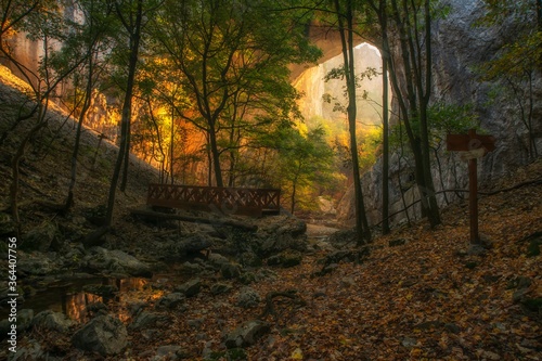 autumn in the forest © mugurelcm
