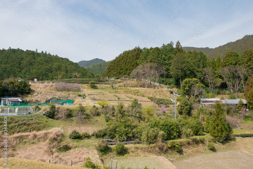 Between Hosshinmon-oji and Mizunomi-oji on Kumano Kodo (Nakahechi Route) in Tanabe, Wakayama, Japan. It is part of the UNESCO World Heritage Site.