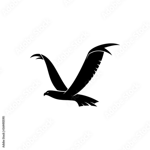 Flying hawk isolated bird silhouette. Vector eagle or falcon in flight, heraldry mascot symbol