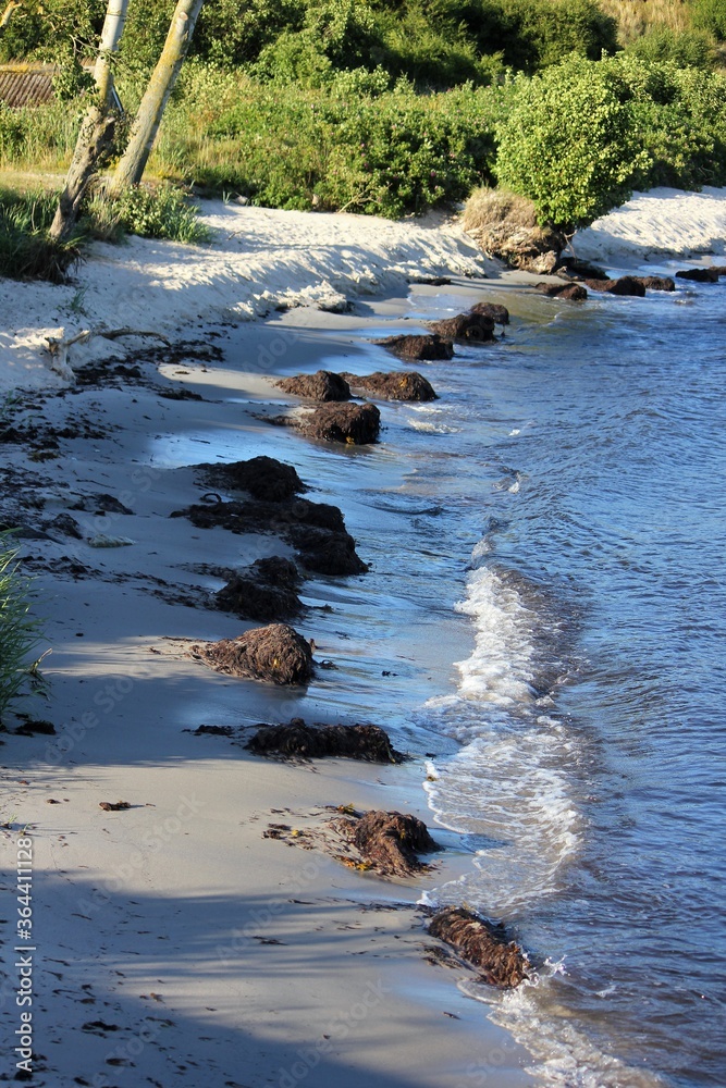 Coastline, Bornhilm, Denmark Coastline, Bornhilm, Denmark