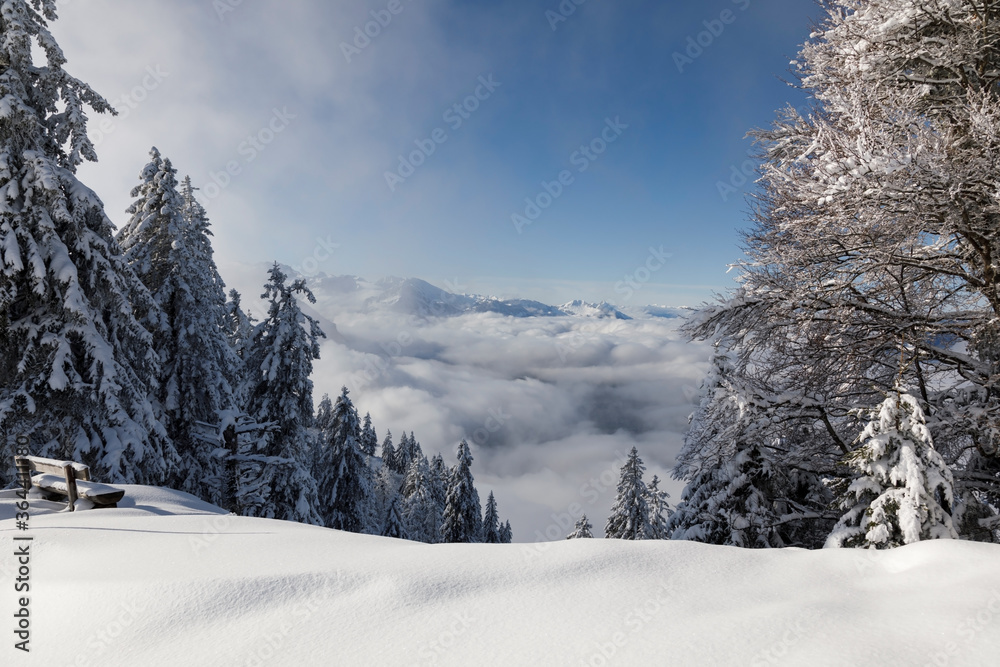 View from the Rotenflue in Canton Schwyz to the sea of fog in the valley in Central Switzerland