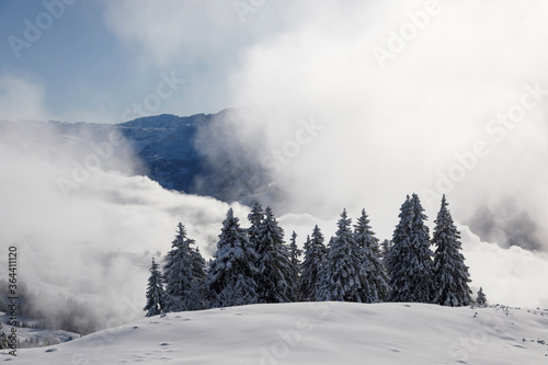 Magical winter landscape with rising fog and the sun against the light in central Switzerland