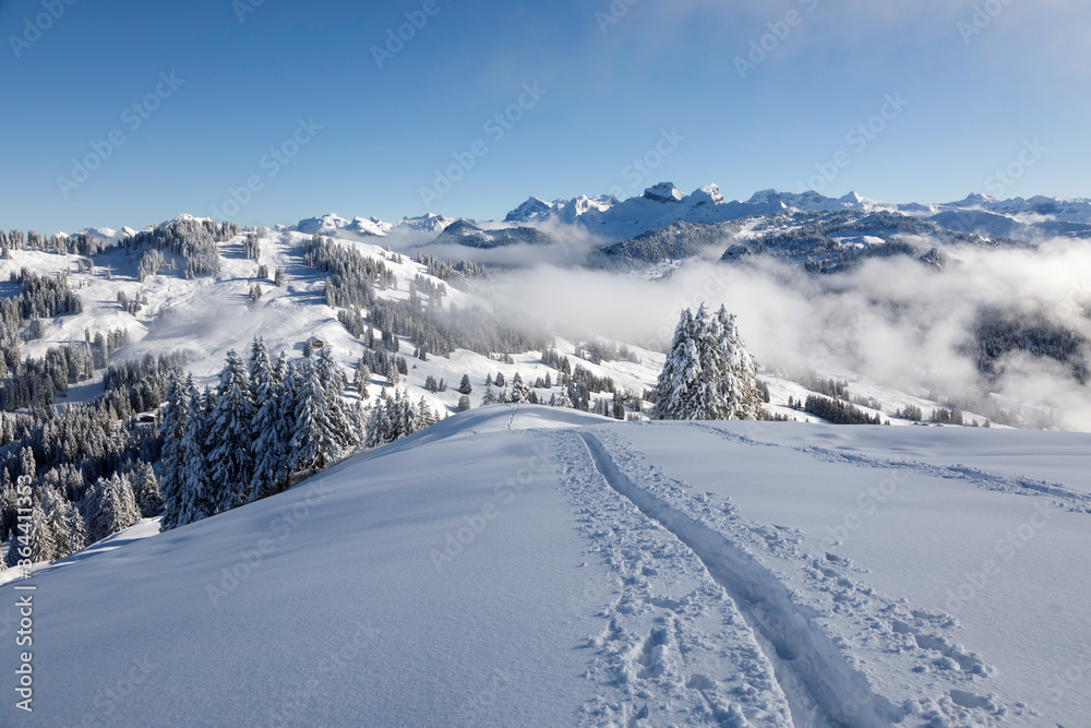Winter hiking trail on Rotenflue in the canton of Schwyz, central Switzerland
