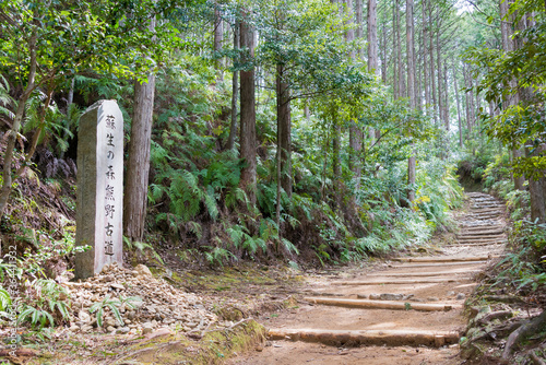 Between Fushiogami-oji and Kumano Hongu Taisha on Kumano Kodo (Nakahechi Route) in Tanabe, Wakayama, Japan. It is part of the UNESCO World Heritage Site.