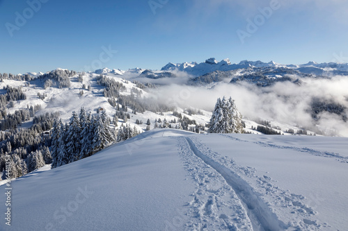 Winter hiking trail on Rotenflue in the canton of Schwyz, central Switzerland © Fredy Thürig