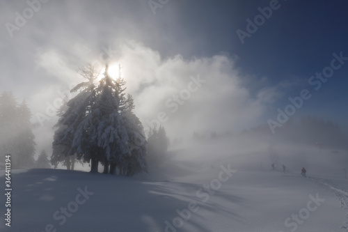 Mystical foggy mood with the sun against the light on a winter day in Central Switzerland