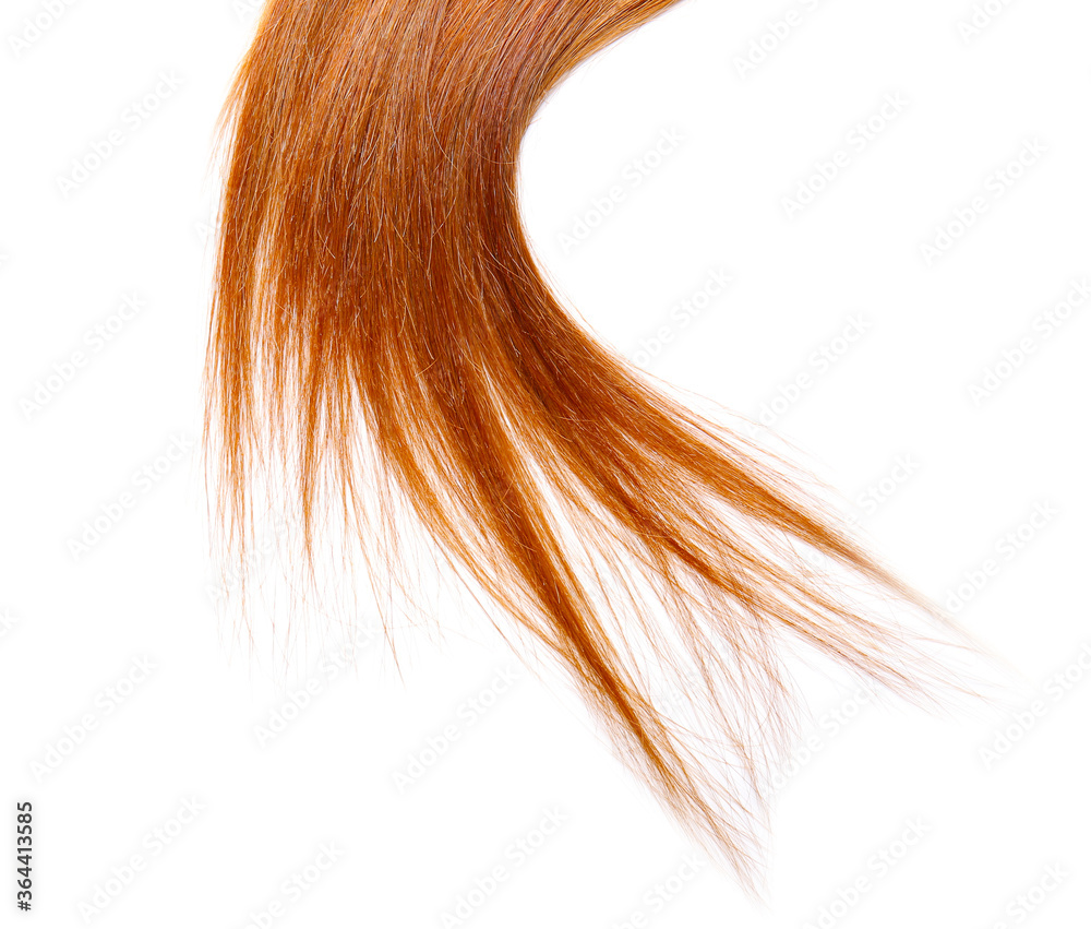 Beautiful red hair on white background