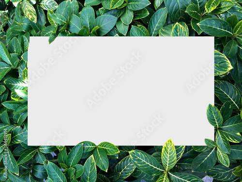 Top view nature concept, Paper frame layout note, Flat lay on green Leaves background